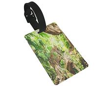 Safari,Leopard On The Branch in Savannah Exotic Macro Tropical Leaf Jungle Wild Nature Art 2 PC Etiquetas de equipaje de PVC Cubierta de privacidad Etiquetas de equipaje de silicona Etiquetas de mal