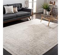 SAFAVIEH Evoke Collection EVK256E - Alfombra de área de 9 x 12 pies, Marfil y Gris Pardo, diseño Oriental Desgastado, no desprende Pelusa, fácil Cuidado, Ideal para Zonas de Alto tránsito en Sala de