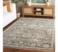 SAFAVIEH Tradicional Sala de Estar, Comedor, Dormitorio - Hazel, Pila Mediana, Verde/Beige, 122 X 183 cm