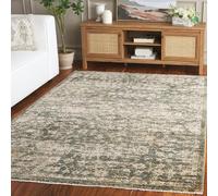 SAFAVIEH Tradicional Sala de Estar, Comedor, Dormitorio - Hazel, Pila Mediana, Verde/Beige, 122 X 183 cm