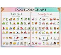 Safe Foods for Dogs Guide Poster, What Dogs Can Eat Reference Canvas Wall Art for Pet Owners(Unframed 12x18inch(30x45cm))