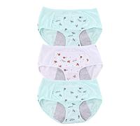 Safety Certification 3-PACK PERÍODO DE FUGAS DE GIRTAS BIG GIRAS BIGRES PANTES for EL PRIMER PERIODO MESSTRUAL PROPIETAR DE PROTECTORES DE PROTECTOR DE PROTECTORES PROBLORES DE ALDOD(Color:Multicolor