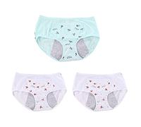 Safety Certification 3-PACK PERÍODO DE FUGAS DE GIRTAS BIG GIRAS BIGRES PANTES for EL PRIMER PERIODO MESSTRUAL PROPIETAR DE PROTECTORES DE PROTECTOR DE PROTECTORES PROBLORES DE ALDOD(Color:Multicolor