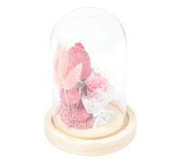 SAFIGLE Adorno Floral Día del Maestro Flores Preservadas bajo Campana de Vidrio Diseño de Oso Pequeño Decoración para Escritorio Obsequio Adecuado para Profesora en San Valentín