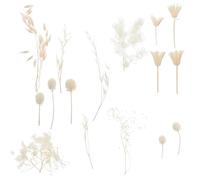 SAFIGLE Bolsa de Flores Secas Naturales para Manualidades DIY Material para Hacer Decoraciones Kit de Flores Inmortalidad para Bricolaje y Decoración del Hogar Accesorio Creativo para