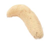 SAFIGLE Esponja De Lufa Natural Para Fregar y Ducha Corporal 1 Unidad Tamaño 25-35 Cm Exfoliante Para Piel y Limpieza Corporal Uso Doméstico