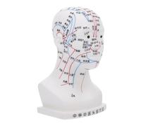 SAFIGLE Modelo de Cabeza de Acupuntura para Masaje Facial Puntos de Acupuntura de Alta Definición para Enseñanza y Práctica Cabeza