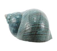 SAFIGLE Natural Mediterránea para Manualidades Decoración de Centro de Mesa Costera Colección de Conchas Marinas para Peceras y Relleno de Jarrones Única para Coleccionistas y Aficionados