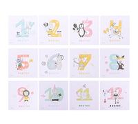 SAFIGLE Pegatinas Mensuales Para Fotos Animales Bebés De Recuerdo Del Primer Mes Accesorio Para Fotos Para Etiquetas Pegatina Para Recién Nacido Para Seguimiento Del Desarrollo Mensual