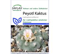 Saflax Cactus Peyote - 1 paq.
