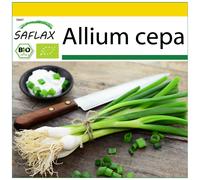 SAFLAX Conjunto de cultivo - Ecológico - Cebolla de primavera - Cebolla de Lisboa blanca - 150 semillas - Allium