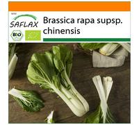 SAFLAX Garden in the bag - Ecológico - Col de mostaza china - Pak Choi - 300 semillas - Brassica