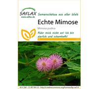 Saflax Sensitiva - 1 paq.