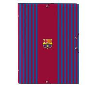 safta M069 Carpeta Folio Clasificadora, Multicolor (M069)