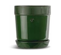 Sagaform Maceta para especias Elise Ø11 cm Verde