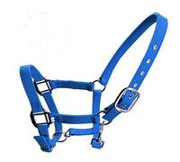 SagaSave Caballo Nylon Cabecera Ecuestre Acolchado Cuello Cuello De Cabeza Ajustable Nariz Y Hebilla Cierre Con Clip De Barbilla, Azul Grande