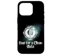 Sage For A Clean Slate Spiritual Quote Sanador Energético Sanador Carcasa para iPhone 16 Pro