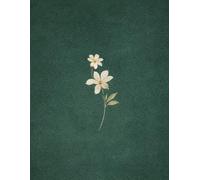 Sage Leaf Composition Notebook: 8.5 x 11 Lined Journal with Date Header, 120 Pages, Large Aesthetic Botanical Notebook for School, Work, and Journaling