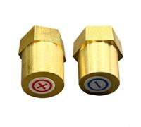 SageFurned 2 terminales de latón para batería, reductor universal, apto para baterías de vehículos, resistentes a la corrosión, duraderas, 12-36 V