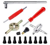 SageFurned Kit profesional de 35 herramientas para válvulas de neumáticos, desmontador de núcleo de válvula TR412 de hierro para reparación de coche, kit completo con (15 piezas)