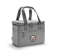 SAGELSHN Bolsa Termica Oficina Bolsa De Almuerzo Aislada Reutilizable Para El Trabajo, La Escuela, Los Viajes Y Picnic Loncheras De Trabajo(A4)