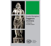 Saggezza straniera. L'ellenismo e le altre culture (Piccola biblioteca Einaudi. Big)