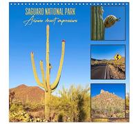 SAGUARO NATIONAL PARK Arizona desert impressions - Calendario de pared de 12 pulgadas x 24 pulgadas / 30 x 60 cm (abierto) CALVENDO 12 Month Wall Calendar