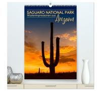 SAGUARO NATIONAL PARK Wüstenimpressionen aus Arizona (hochwertiger Premium Wandkalender 2026 DIN A2 hoch), Kunstdruck in Hochglanz: Klassischer Südwesten der USA