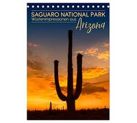 SAGUARO NATIONAL PARK Wüstenimpressionen aus Arizona (Tischkalender 2026 DIN A5 hoch), CALVENDO Monatskalender: Klassischer Südwesten der USA