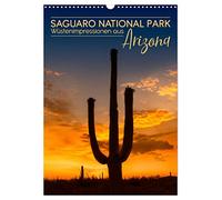 SAGUARO NATIONAL PARK Wüstenimpressionen aus Arizona (Wandkalender 2026 DIN A3 hoch), CALVENDO Monatskalender: Klassischer Südwesten der USA