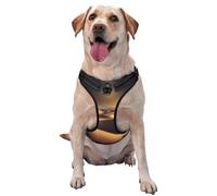 Sahara Desert - Chaleco de tracción para mascotas con estampado grande para que las mascotas lo usen al pasear al perro o escalar montañas