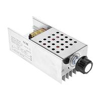 Sahgsa Regulador de Voltaje SCR 6000W 220V Diseño de Panel Doble Proceso de Soldadura Exquisito Larga Vida útil para Uso Doméstico Aleación de Aluminio