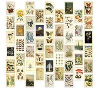 Sahkgye Kit de Collage de Pared EstéTica Vintage - 50 Mini Carteles de Arte de Collage de BotáNico (4 X 6 Pulgadas), para Pared de Fotos de