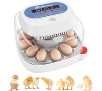 Sailnovo Incubadoras de huevos para incubar, 12 huevos, incubadora para huevos de gallina con 4 modos, visión de 360°, incubadora de huevos con giro automático y control de temperatura, indicador de