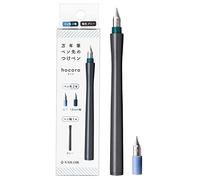 セーラー万年筆 Sailor 12-0220-021 - Pluma estilográfica con plumín doble Hocoro, color gris, punta fina, 1,0 mm de ancho