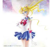 Sailor Moon - Pretty Guardian (Bishojo Senshi) Sailor Moon The 20th Anniversary Memorial Tribute