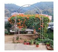 Sainless Seel ArchAdjusable Escalada Enrejado para Flores WeaherResisan Meal Srucure Ideal Exterior Paisaje Feaure (Tamaño: 150 x 240 x 38 cm)