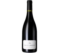 Saint Amour 2023 - Jean Paul Brun - Dominio Des Terres Dorées