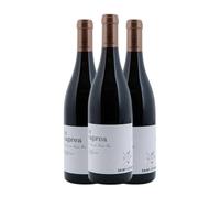 Saint Etienne Le Caprea Costières de Nîmes 75 cl Vino tinto (Caja de 3 Botellas de 75 cl)