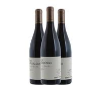 Saint Etienne Les Albizzias Côtes du Rhône 75 cl Vino tinto (Caja de 3 Botellas de 75 cl)