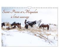 Saint-Pierre et Miquelon à l'état sauvage (Calendrier mural 2026 DIN A4 vertical), CALVENDO calendrier mensuel: Un petit bout de France méconnu