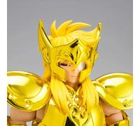 Saint Seiya EX Metal Camus Acuario Hyoga Heredero Ropa Dorada Bandai Tamashii