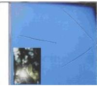 Saint Sophia - Example: I Die On My Knees