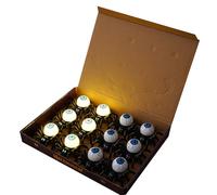 Saiyana Juego de 12 velas LED sin llama con temática de arañas, suministros de fiesta de Halloween, accesorios de iluminación decorativos, luces LED para fiestas