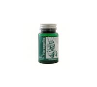 Sakai -Harpagofito - Garra del diablo - Complemento para cuidar las articulaciones - Calma el daño muscular - Reduce la inflamación y la retención de líquidos - Extracto titulado