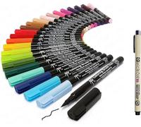 SAKURA Manga Set Koi Coloring Brush Plumas. SELECCIÓN General. 24pcs y Pigma Micron Negro 05