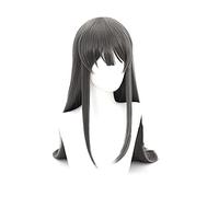 Sakurajima Mai Cosplay Pelucas Rascal no sueña con Bunny Girl Senpai Largo Liso Gris Pelo Sintético Juego de Rol Peluca