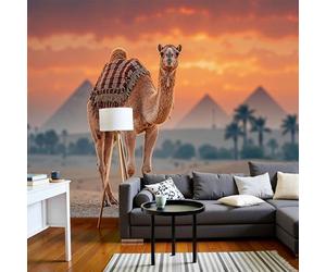 Sala De Estar Mural 250X175Cm Camello Exótico Del Desierto Pirámide Al Atardecer Papel Tapiz Grande Fotomurales Naranja Mural Se Aplica Pared Panorámico Para Dormitorio Tv Pared Murales Póster