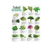 Salad Greens Poster Kitchen Nutrition Chart