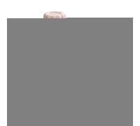 Salad Tosser - Large Capacity Fruit Washer, Easy Colander Basket with Clear Outer Basin, Fast Drying Greens Container, Ideal for Healthy Workplace Meal Prep